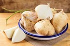 20 JICAMA Mexican Yam Potato Bean Pachyrhizus Erosus Legume Root Vegetable Seeds
