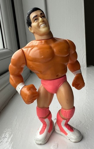 WWF WWE Hasbro Wrestling Figure. Series 5: The Mod...