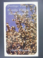 Greetings From Hondo Valley New Mexico Apple Blossom Vintage Postcard 1950s