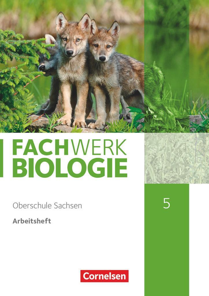 Thumbnail - Fachwerk Biologie - Sachsen. 5. Schuljahr - Neuer Lehrplan -