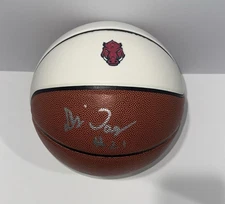 DJ WAGNER SIGNED BASKETBALL ARKANSAS RAZORBACKS PROOF JSA COA