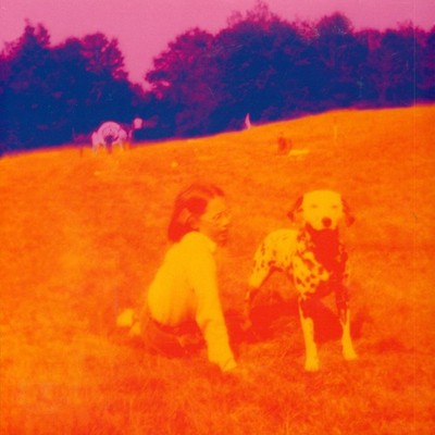 Eels - Blinking Lights And Other Revelations Crystal Viole (2005 - UK - Reissue)