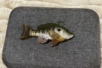 10 Different Bass Swimbaits Lot - Various Styles Colors Pre-Owned ￼