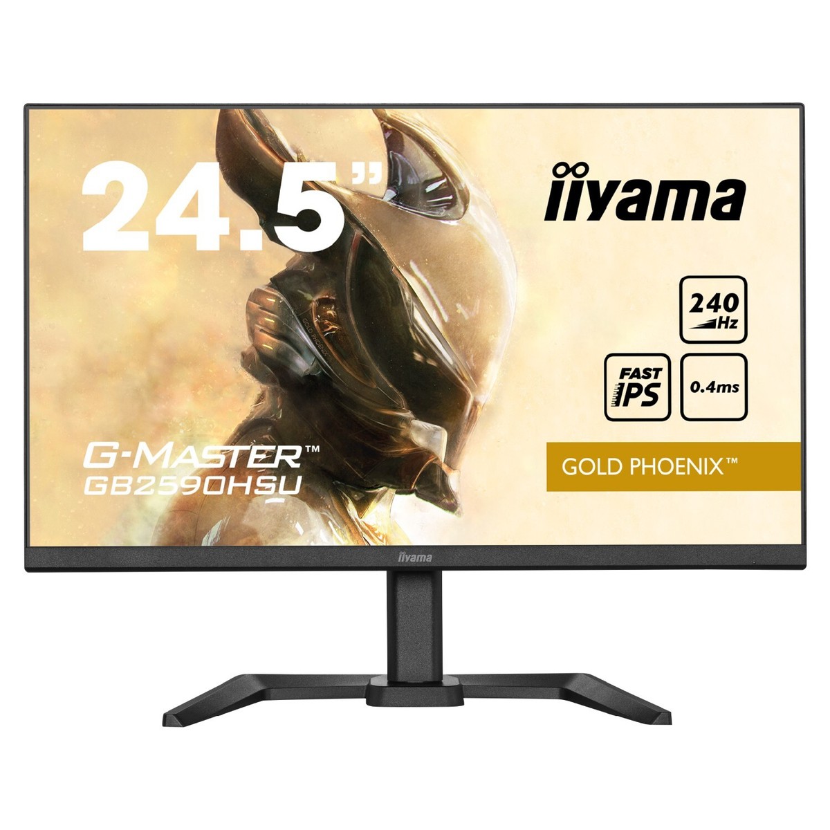 IIYAMA 24.5