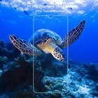 Foto 11 di 25