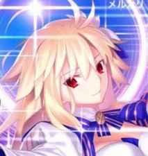 Fate/Grand Order FGO Tapestry Earth Archetype Unopened Used