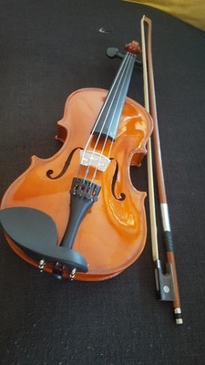 Berkeleywind Beautiful 16'' Solid Maple Pro Viola