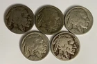 Lot of 5 Circulated Silver Buffalo Nickels w/ 2 Dated to 1926