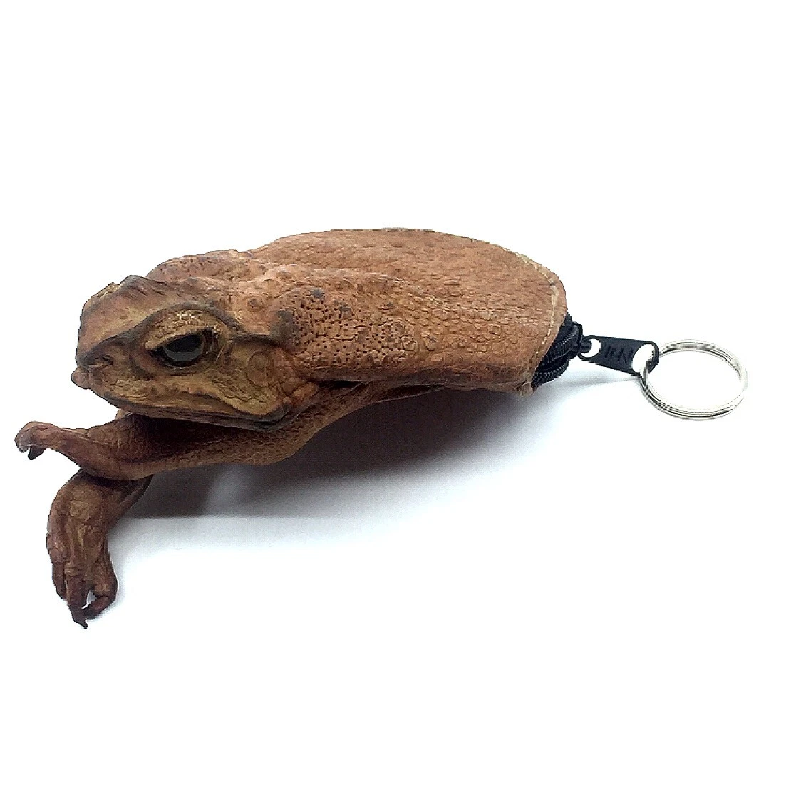 Cane toad coin clearance purse