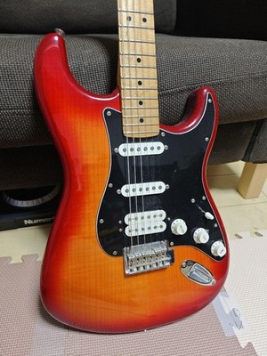 Fender Stratocaster Player Mexico Safe Packing!