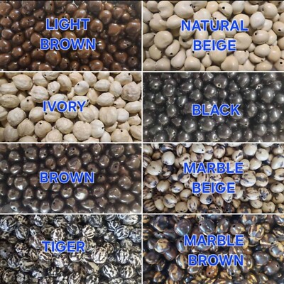 32 Pcs Loose Real Kukui Nuts BASIC Color Hawaiian Hula Graduation Weddings