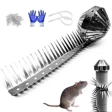 Raccoon Squirrel Spikes Deterrent Keep Squirrel Pigeon Crow Away No More Bird