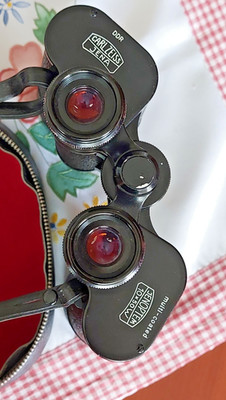 ein Fernglas Typ: Carlzeiss-Jena-multi coated JENOPTEM-10x50W mit Zubehör