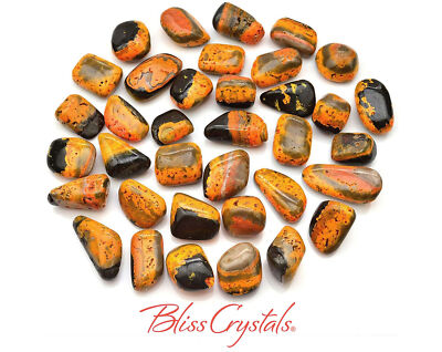 1 ''Pumpkin'' BUMBLEBEE JASPER Tumbled Stone + Serpentine #BJ23