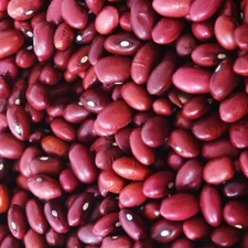 Hidatsa Red Bean 