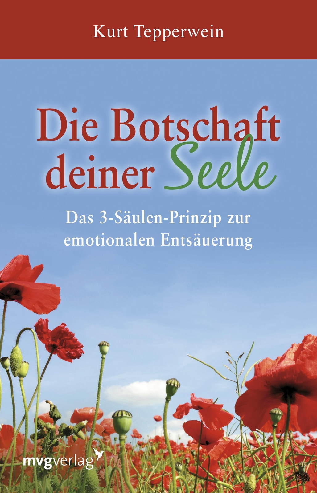 Thumbnail - Die Botschaft Deiner Seele | Das 3-säulen-prinzip Der Emotionalen