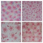 Foto 10 di 22