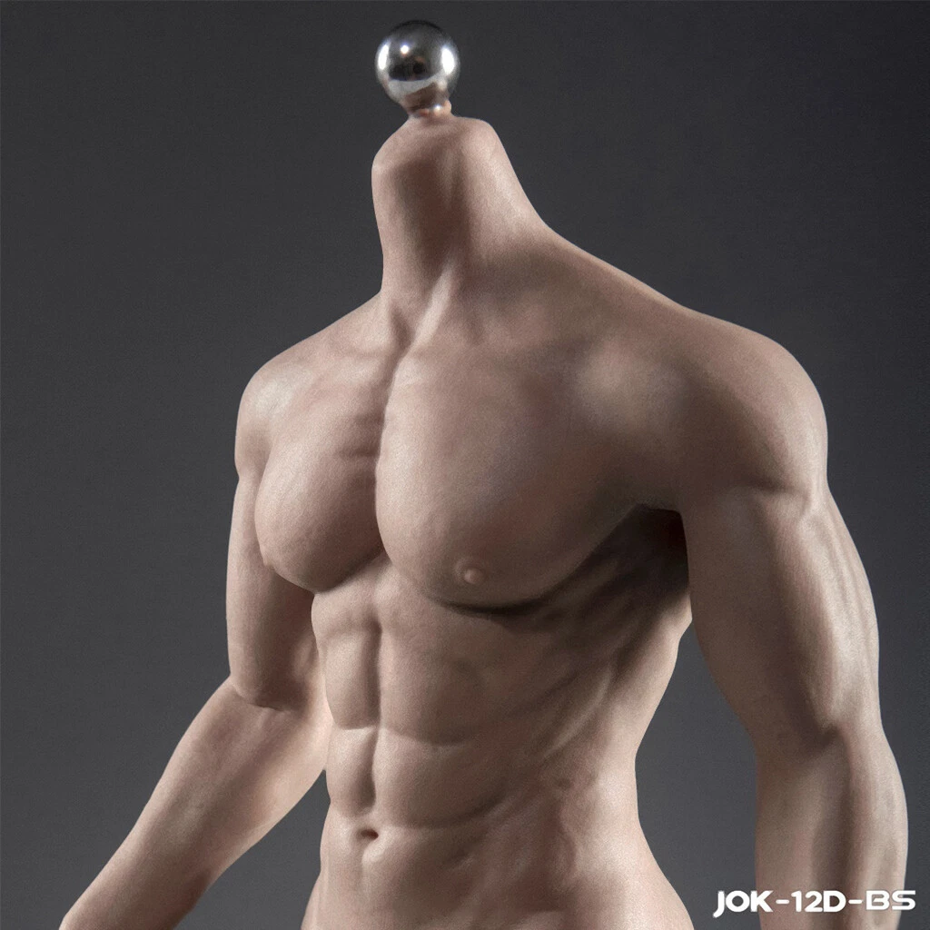 1/6 Male Body Durable Fat Action Figure Doll fit Phicen Hot Toys TBLeague  12inch