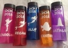 Disney Cruise Line or Disney world Or Disneyland Customized Water bottles