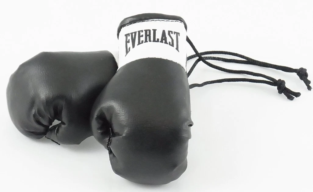 Everlast Black Mini Boxing Gloves for Autograph Hunters
