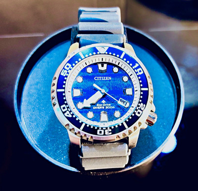 Citizen Promaster Aqualand Eco-Drive Diver s 200 m BN0167-09W