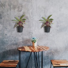 Papier de mur de fleur Patte de fleur Rack de fleuris