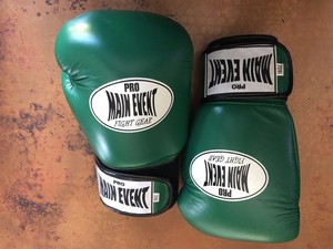main event boxing gloves