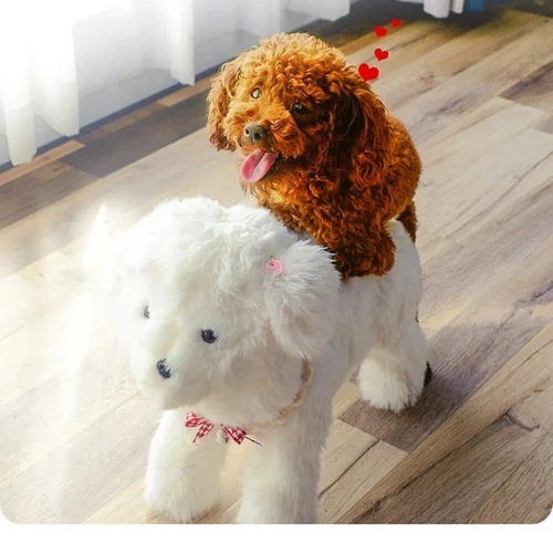 Dog Mating Toys Simulation Plush Pet Sex Play Silicone Vent Stress Reliever Tool - Picture 20 of 24