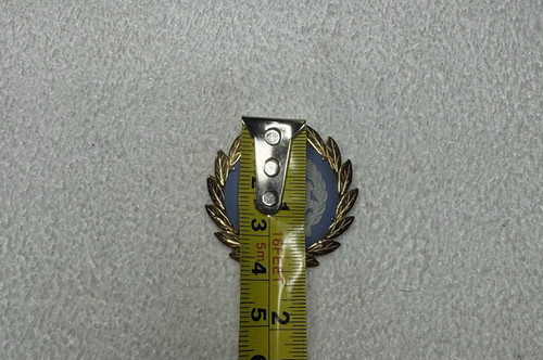 Wedgwood Lorbeer 10k Gold strukturiert Kreis Kranz Anstecknadel Brosche Anhänger mit Jasperware - Bild 3 von 5