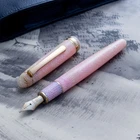Platinum #3776 Century Celluloid Sakura 14K M Nib Fountain Pen Japan