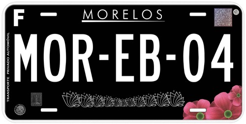 Black Morelos Mexico Personalized Novelty Car License Plates Any Text - Picture 8 of 9
