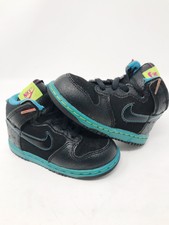 toddler nike dunks high