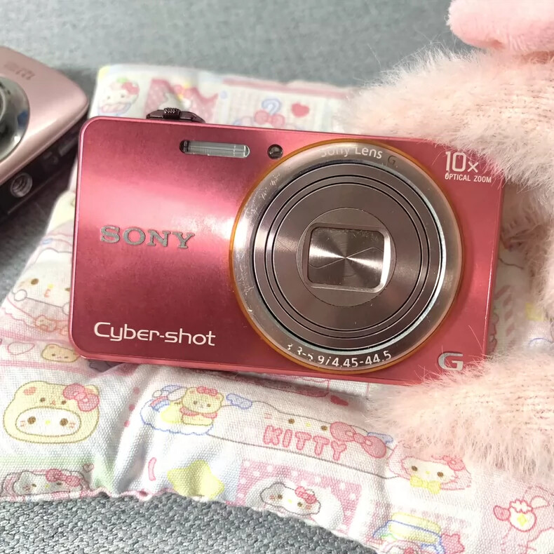SONY Cyber-shot DSC-WX100 Pink Digital Camera with 10x Zoom in English