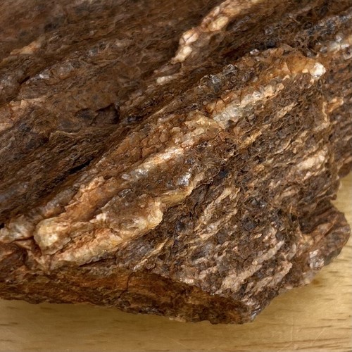 11.8oz UTAH Raw Rough PETRIFIED FOSSIL WOOD Log 4.75” HEAVY CRYSTALS WHITE CRYST - Picture 9 of 12