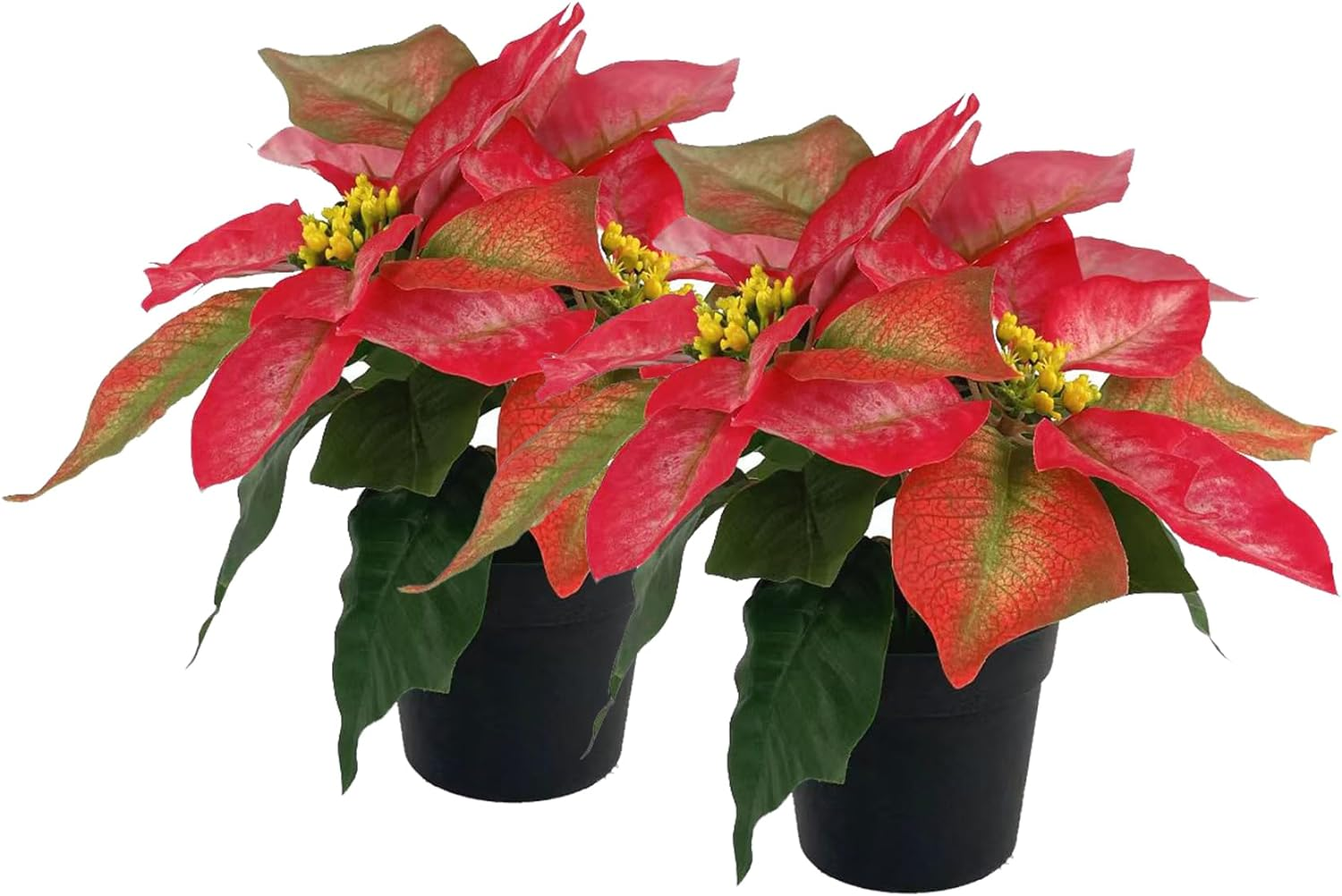 Poinsettias Artificial Christmas Flowers in Pot Pack Poinsettia 2 Red