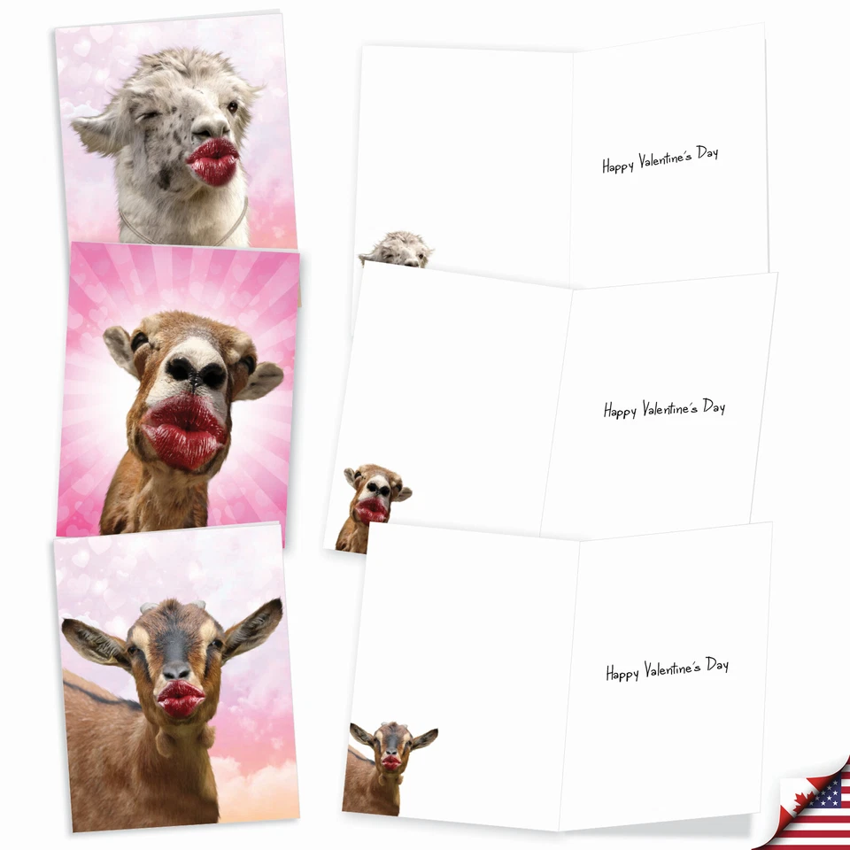 20 tarjetas de San Valentín (10 diseños, 2 Ea) - besos de animales salvajes AM9280VDG-B2x10 Foto 3 de 4