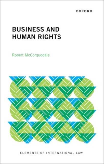 Business and Human Rights by Robert McCorquodale 9780192855862 NEW - Image 7