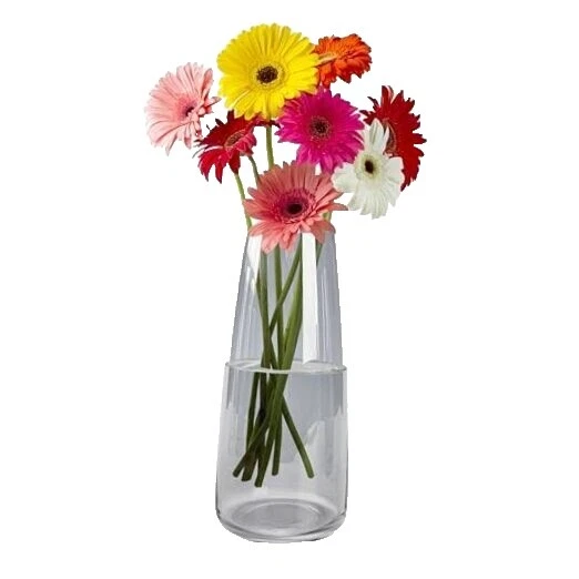 Botella de Vidrio Jarrones Tropical