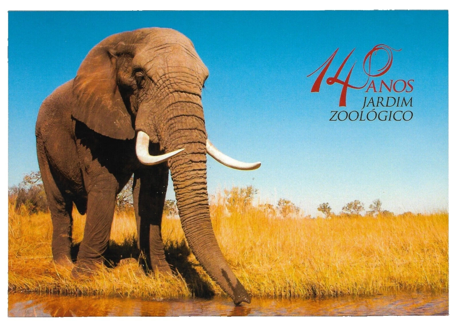 En excelente estado nunca abisagrado/estampillada sin montar o nunca montada tarjetas postales, papelería estampillas postales temáticas