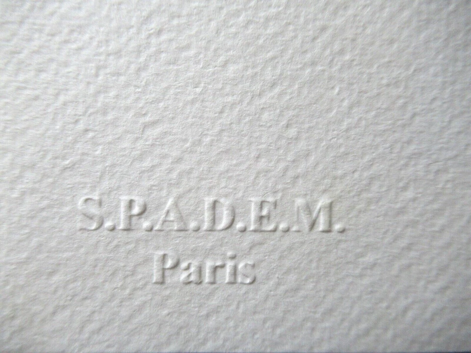 VICTOR VASARELY:  SCHÖNE LITOGRAPHIE 35x50cm Limitiert xx/500 - Bild 3 von 4