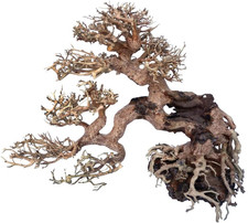 - Legno Oriental Wind 7, Fatto a Mano, per Acquario, 25X10X20 CM