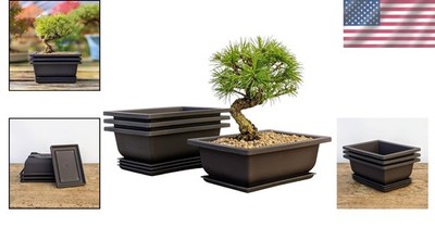6 Bonsai Tree Starter Pots With Humidity Drip Trays – 3-Pack Set For Miniature Trees