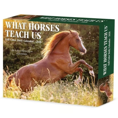 Willow Creek Press, What Horses Teach Us 2026 Desk Calendar, 6.18'' X 5.43'', D