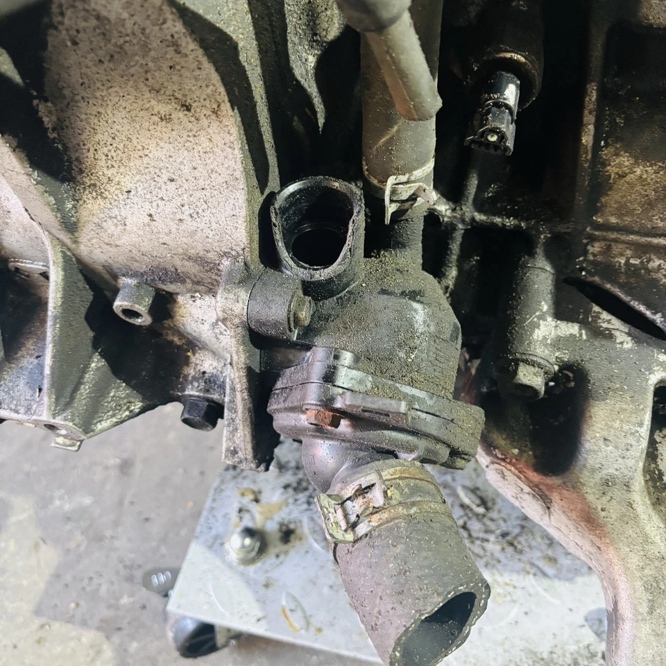 Bloque corto completo Acura TSX 08 OEM K24A2 K24 motor bloque corto Foto 3 de 4