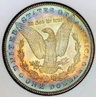 1900 MORGAN BULLSEYE RAINBOW REVERSE! MS++BAG TONER! NR #P64888