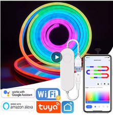 RGBIC Neon Rope Lights, TUYA 5M/16.4ft LED Neon Flex USB Dynamic LED Strip Light