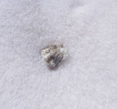 #66 Wadsworth Ohio Meteorite Eucrite 2.5mm fragment in 1'' glass top case + COA