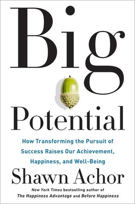 Big Potential: How Transforming the Pursuit of Success Raises Our Achievemen...