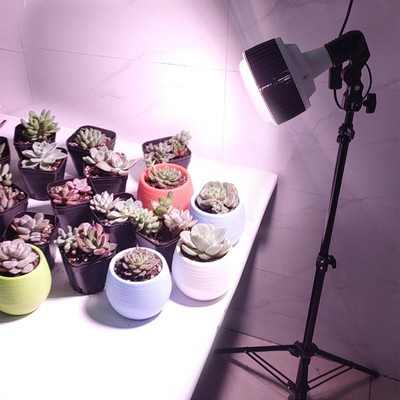 Battery powered best sale grow light