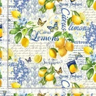 Lemon Collage Fabric By The Yard Limoncello Cotton Timeless Treasures CD3441